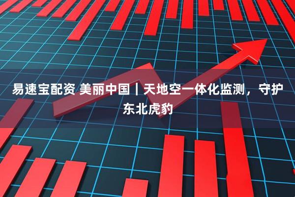 易速宝配资 美丽中国｜天地空一体化监测，守护东北虎豹
