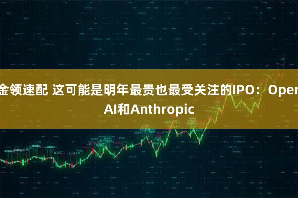 金领速配 这可能是明年最贵也最受关注的IPO：OpenAI和Anthropic