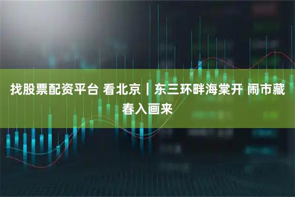 找股票配资平台 看北京｜东三环畔海棠开 闹市藏春入画来