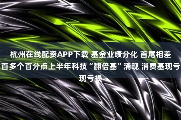 杭州在线配资APP下载 基金业绩分化 首尾相差两百多个百分点上半年科技“翻倍基”涌现 消费基现亏损
